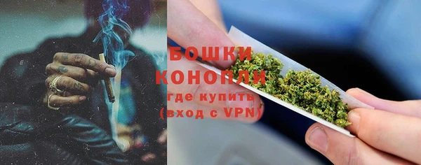 шишки Корсаков