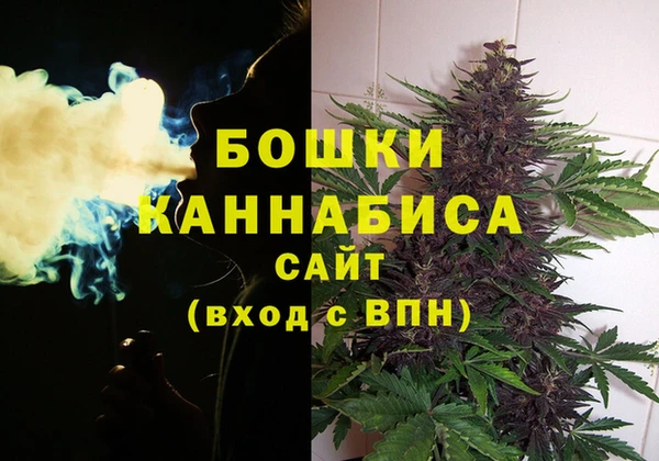 apvp Костерёво