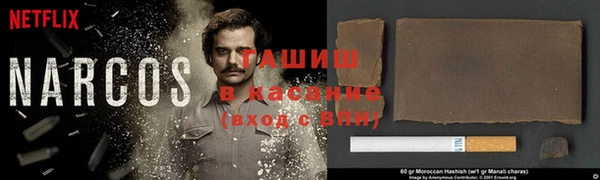 шишки Корсаков