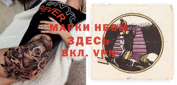 шишки Корсаков
