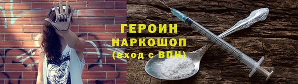 гидра Долгопрудный