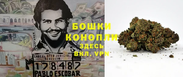 apvp Костерёво
