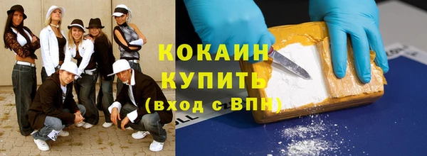 шишки Корсаков