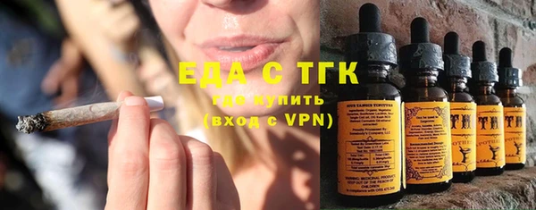 шишки Корсаков